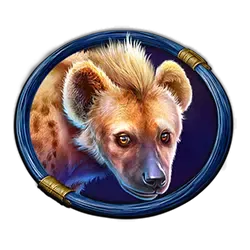 Hyena Symbol